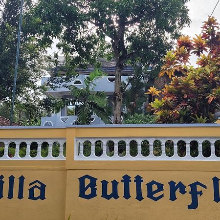 Villa Butterfly Moragalla Dış mekan fotoğraf