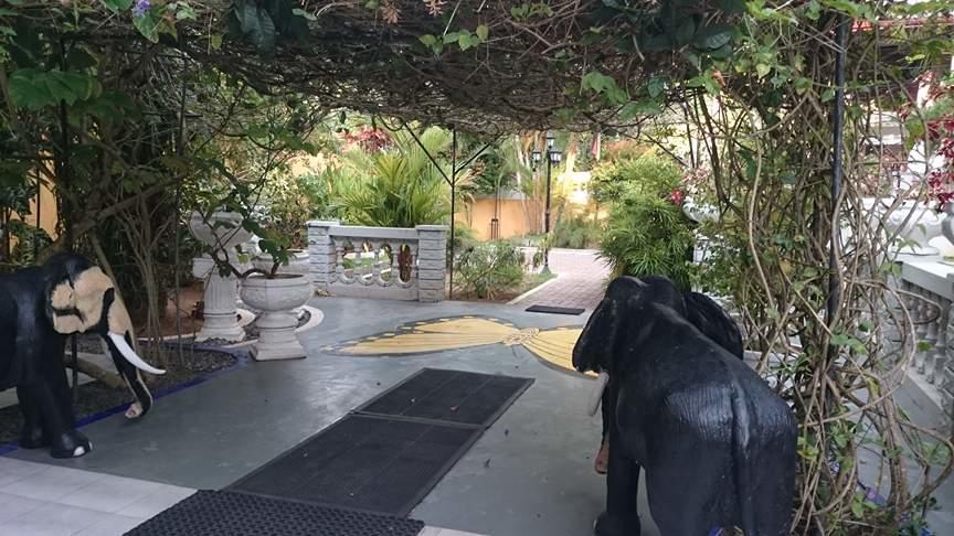 Villa Butterfly Moragalla Dış mekan fotoğraf